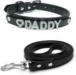 Love Daddy Leather Choker Collar with Leash