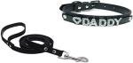 Love Daddy Leather Choker Collar with Leash