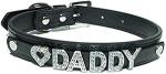 Love Daddy Leather Choker Collar with Leash