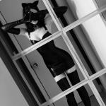 Gothic Punk Black Faux Leather Femdom Dress Set