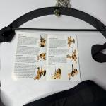 Sex Swing Chair for Enhanced BDSM Play