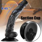 10-Inch Realistic Suction Cup Dildo for Women