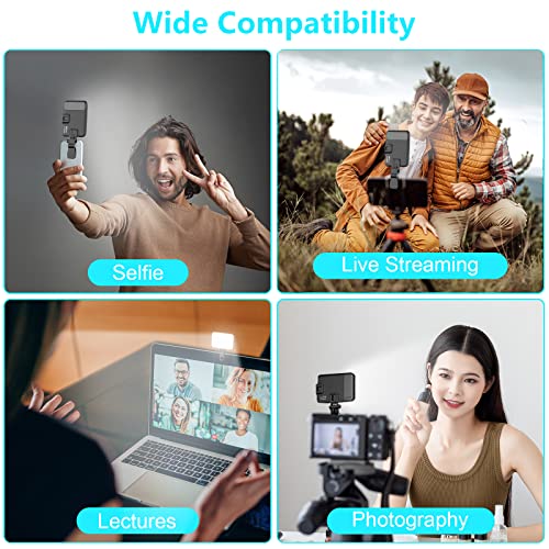 ANAUTIN Selfie Light, 60 LED 2200mAh Rechargeable Cell Phone Fill Light 7 Modes, 10-Level Brightness, Portable Clip on Light for Phone/Tablet/Laptop, Zoom Call Vlog Makeup TikTok Video Fill Light by Anautin