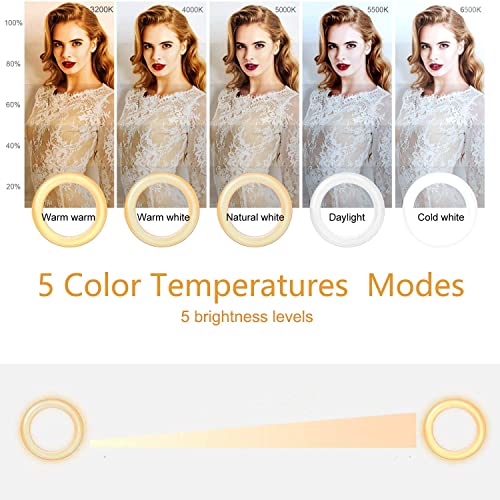 Video Conference Lighting Kit 3200k-6500K Dimmable Led Ring Lights Clip on Laptop Monitor for Remote Working/Zoom Calls/Self Broadcasting/Live Streaming/YouTube Video/TikTok (Black) by SELFILA Technology