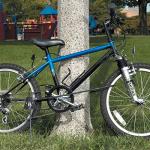 Master Lock Adjustable Security Cable for Gear