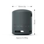 Sony SRS-XB100 Portable Waterproof Bluetooth Speaker