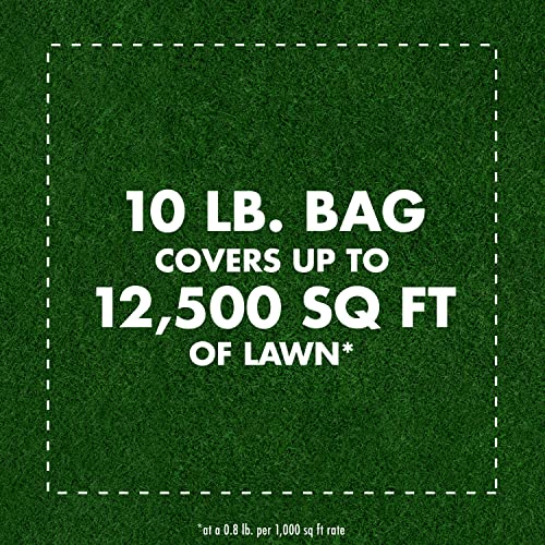 Spectracide Triazicide Lawn Insect Killer Granules, 10 lb