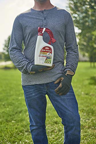 Ortho Home Defense Lawn Insect Killer Spray 32 oz