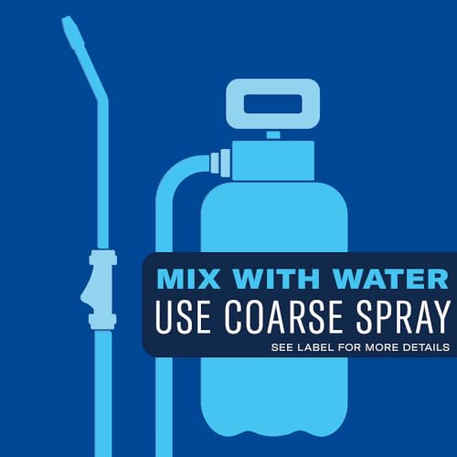 BioAdvanced All-In-One Lawn Weed Killer Concentrate