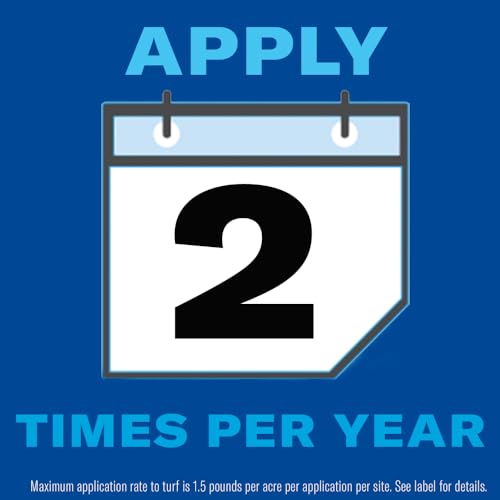 BioAdvanced All-In-One Lawn Weed Killer Concentrate