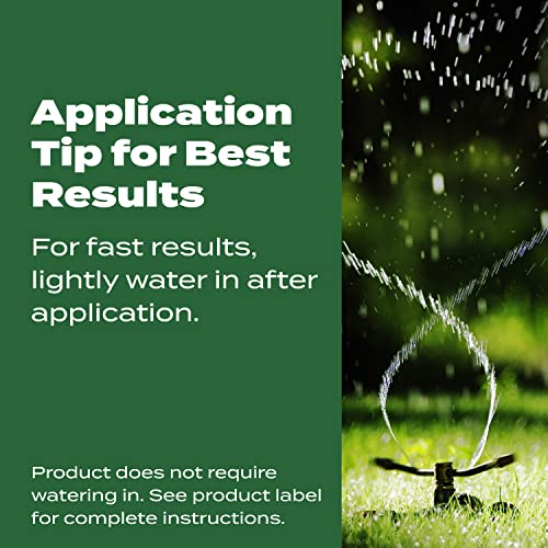 Scotts Turf Builder Lawn Food for All Grass