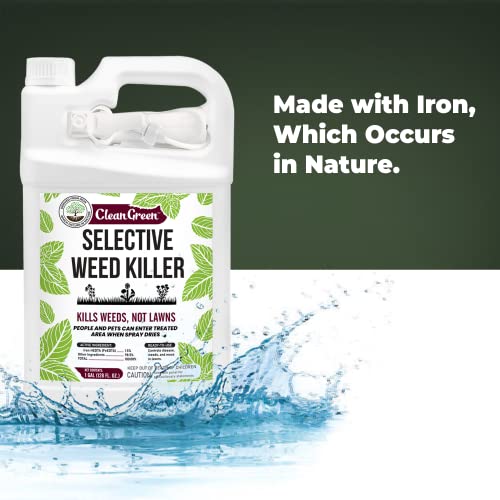 Mighty Mint Selective Weed Killer for Lawns 1 Gallon