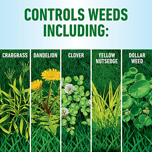 Roundup Lawns Ready-to-Use Weed Killer with Wand