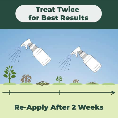 Mighty Mint Selective Weed Killer for Lawns 1 Gallon