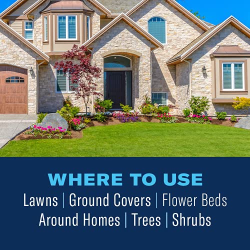 BioAdvanced Insect Killer Granules for Soil & Turf