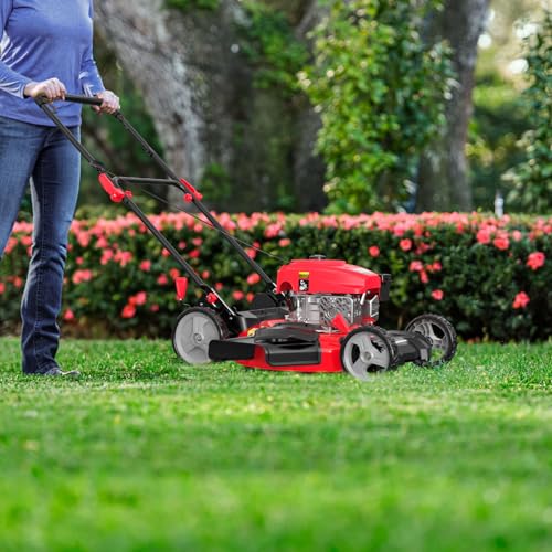 PowerSmart 2-in-1 Gas Lawn Mower, 53.3 cm