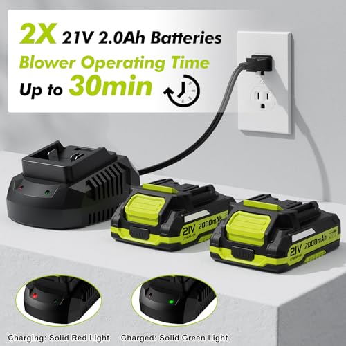 Cordless Electric Leaf Blower with Batteries