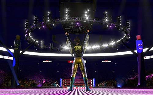 WWE 2K20 from 2K Games - PlayStation 4