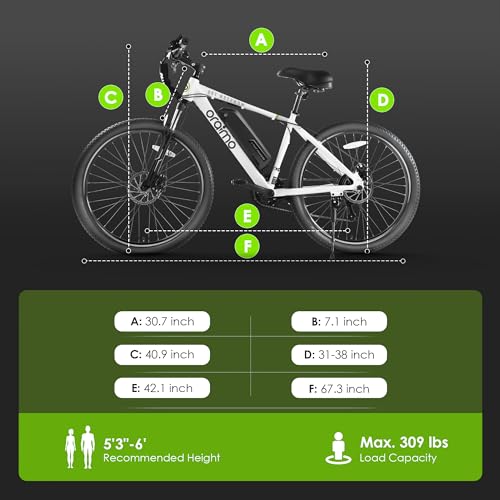 Oraimo 350W Electric Mountain Bike with 21 Speeds