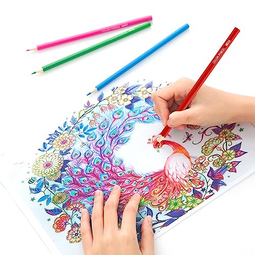 Watercolor Pencils Set for Relaxing Coloring Sessions