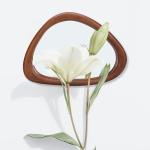 Asymmetrical Black Walnut Wall Mirror, 15x10 Inches