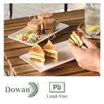 DOWAN 9.7" Rectangle Serving Plates Set of 4