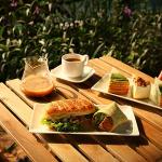 DOWAN 9.7" Rectangle Serving Plates Set of 4