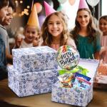 Stylish Blue and White Porcelain Storage Box Set