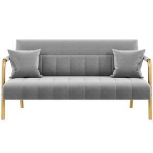 Stylish Light Gray Velvet Sofa with Gold Legs