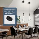 EIDISUNY Spiral LED Pendant Light Fixture