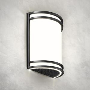 Matte Black Dimmable LED Wall Sconce Light