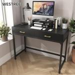 Stylish Gaming and Office Desk with Storage