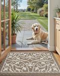 Indoor Welcome Mat - Non-Slip & Washable 24x36