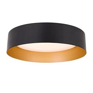 Matte Black and Gold LED Ceiling Light Fixture