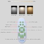 Modern LED Ceiling Light with Remote Control