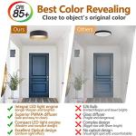 Matte Black and Gold LED Ceiling Light Fixture