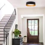 Matte Black and Gold LED Ceiling Light Fixture