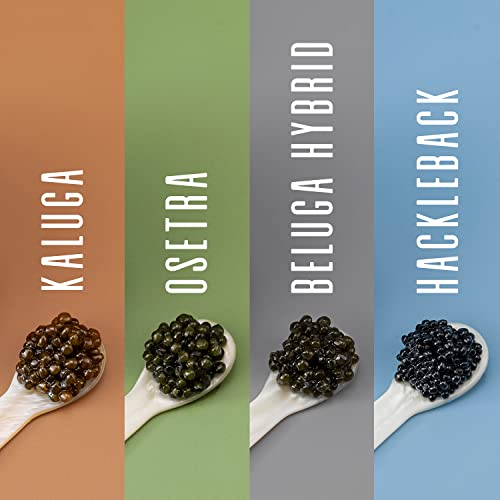 ORLOFF Black Beluga Hybrid Caviar - 4 oz