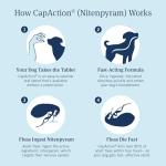 Capaction Oral Flea Treatment for Small Dogs