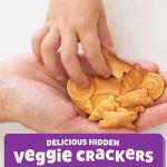Annie's Hidden Veggie Sea Salt Crackers, 7.5 oz