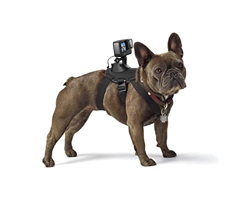 GoPro Fetch Dog Harness - GoPro Mount