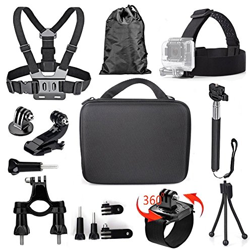 TEKCAM Action Camera Accessories Kit with Medium Carrying Case Compatible with Gopro Hero 11 10 9 8/AKASO EK7000 Brave 4/Dragon Touch/CAMWORLD/WOLFANG/Adostob/Remali Capture Action Camera