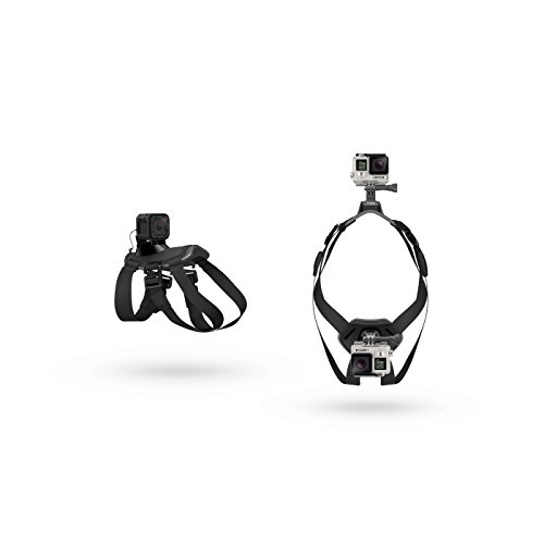 GoPro Fetch Dog Harness - GoPro Mount