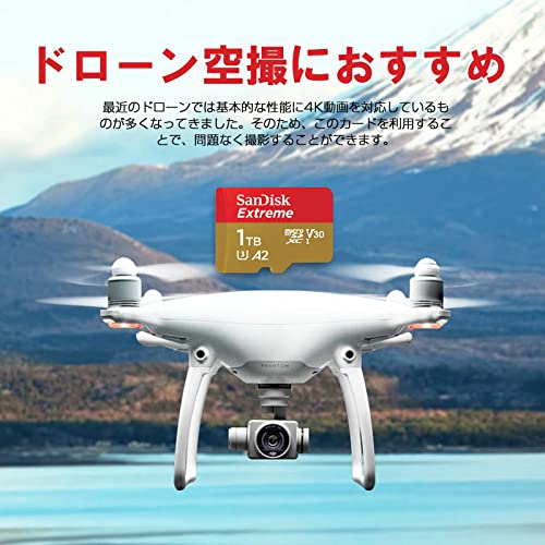 SanDisk Extreme 32GB microSDXC UHS-I Card with Adapter (SDSQXNE-032G-GN6MA) [Old Version]