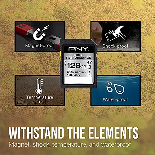 PNY 64GB High Performance Class 10 U1 SDHC Flash Memory Card - 100MB/s read, Class 10, U1, Full HD, UHS-I, Full Size SD