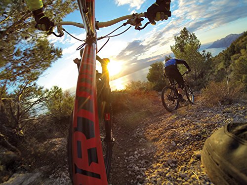 Official GoPro Roll Bar Mount for Cameras