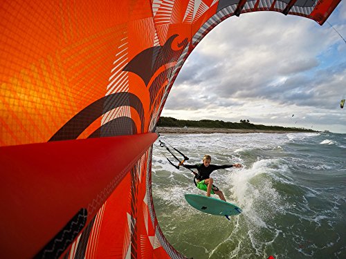 Official GoPro Roll Bar Mount for Cameras