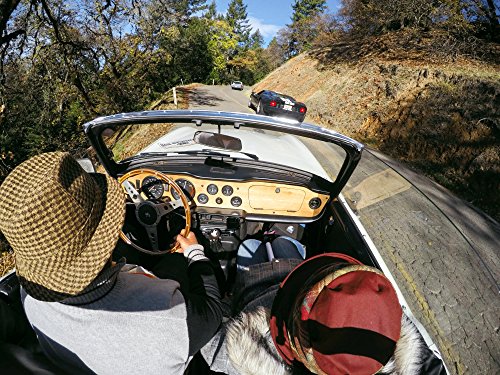 Official GoPro Roll Bar Mount for Cameras