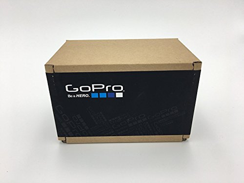 GoPro Hero+ LCD - Entry Level Camera