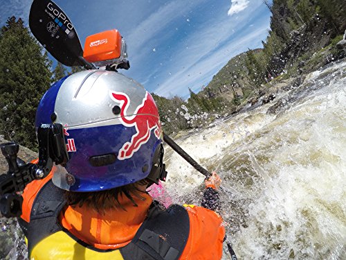 GoPro Floaty Backdoor